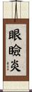 眼瞼炎 Scroll