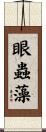 眼蟲藻 Scroll
