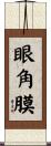 眼角膜 Scroll