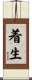 着生 Scroll