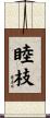睦枝 Scroll