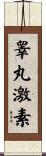 睾丸激素 Scroll