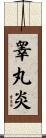 睾丸炎 Scroll