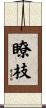 瞭枝 Scroll