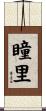 瞳里 Scroll