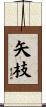 矢枝 Scroll