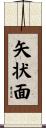 矢状面 Scroll