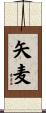 矢麦 Scroll