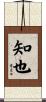 知也 Scroll