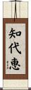 知代恵 Scroll