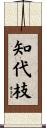 知代枝 Scroll