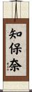 知保奈 Scroll