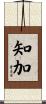 知加 Scroll