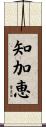 知加恵 Scroll