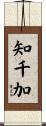 知千加 Scroll