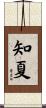 知夏 Scroll