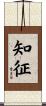 知征 Scroll