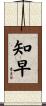 知早 Scroll
