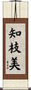 知枝美 Scroll