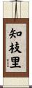 知枝里 Scroll