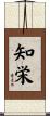 知栄 Scroll