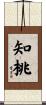 知桃 Scroll
