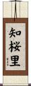 知桜里 Scroll