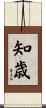 知歳 Scroll