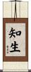 知生 Scroll