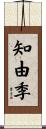 知由季 Scroll