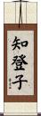 知登子 Scroll