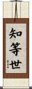 知等世 Scroll