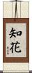 Chikara Scroll