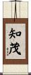 知茂 Scroll