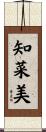 知菜美 Scroll