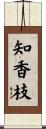 知香枝 Scroll