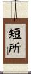 短所 Scroll