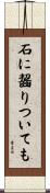 石に齧りついても Scroll