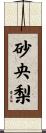 砂央梨 Scroll