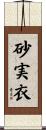 砂実衣 Scroll