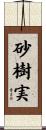 砂樹実 Scroll