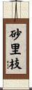 砂里枝 Scroll