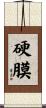 硬膜 Scroll