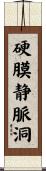 硬膜静脈洞 Scroll