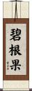 碧根果 Scroll