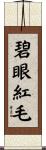 碧眼紅毛 Scroll