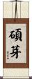 碩芽 Scroll