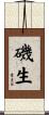 磯生 Scroll