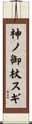 神ノ御杖スギ Scroll