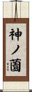 神ノ薗 Scroll
